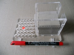 foto4